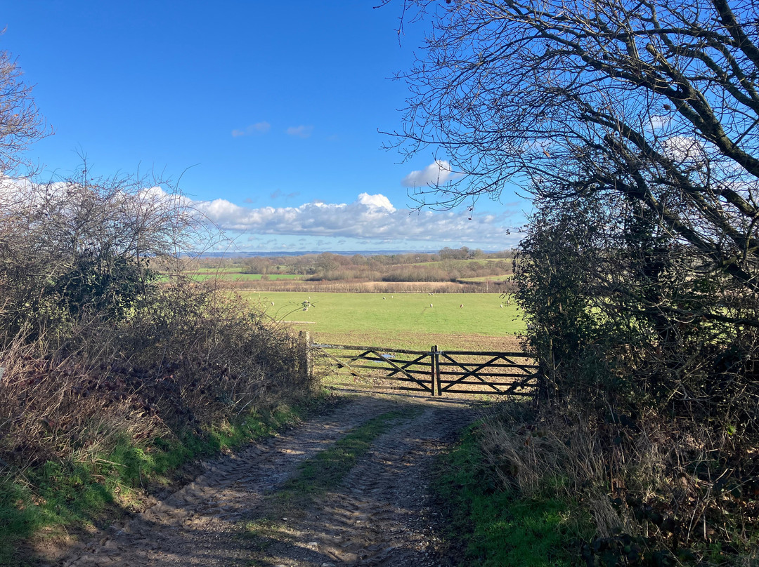 Sissinghurst Castle Estate Walking Trails景点图片