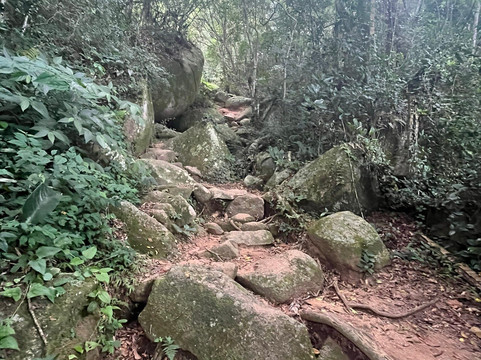 Trilha Costa da Lagoa-弗洛里亚诺波利斯必去景点