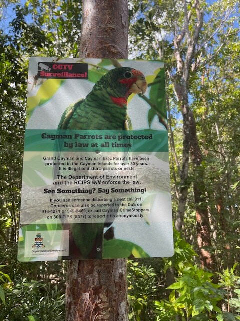 Parrot Preserve-Cayman Brac必去景点