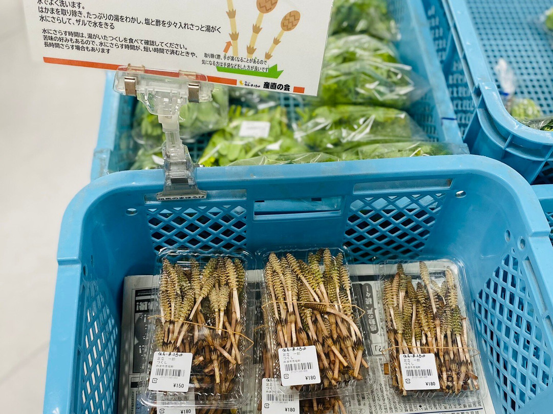 Michi-no-Eki Tajima no Mahoroba-朝来市必去景点