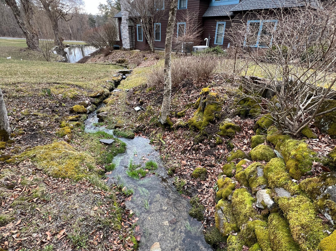 Stonover Farm Bed And Breakfast主图