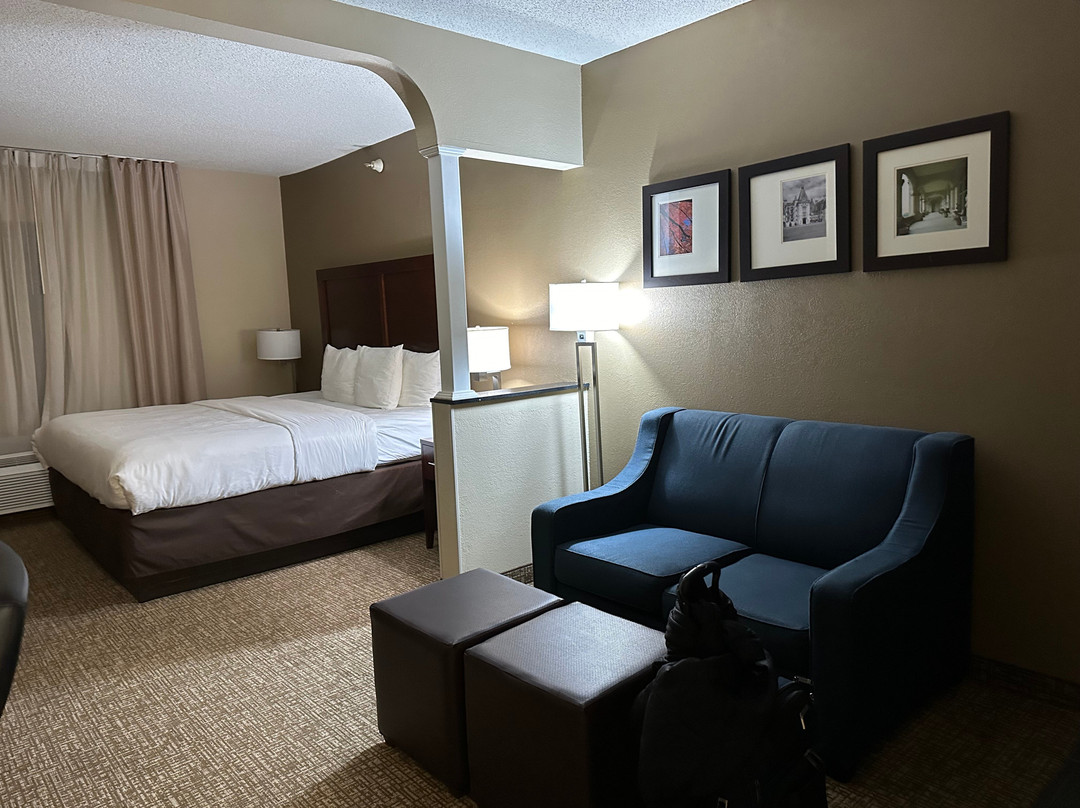 Comfort Inn & Suites主图