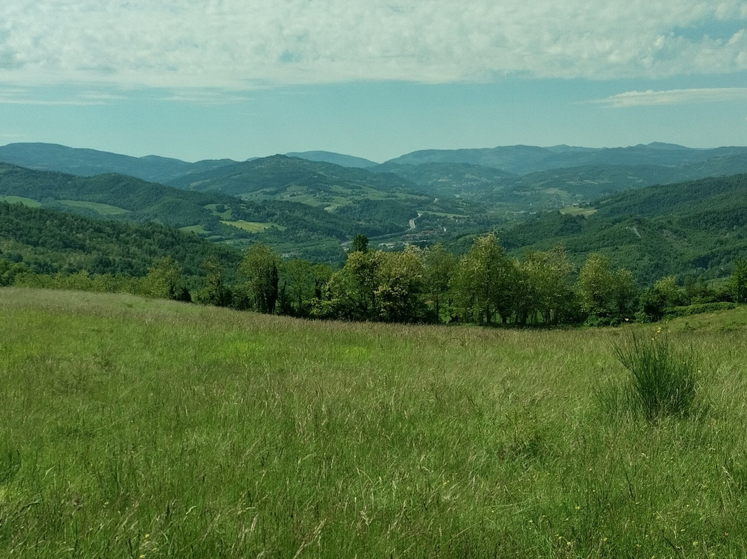 Parco Storico di Monte Sole景点图片