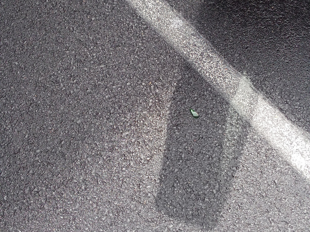 Tru by Hilton Radford主图