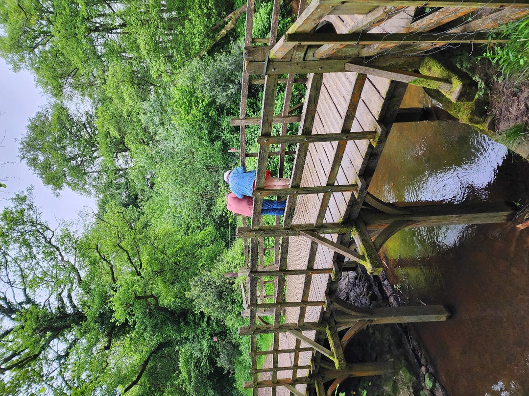 Poohsticks Bridge景点图片