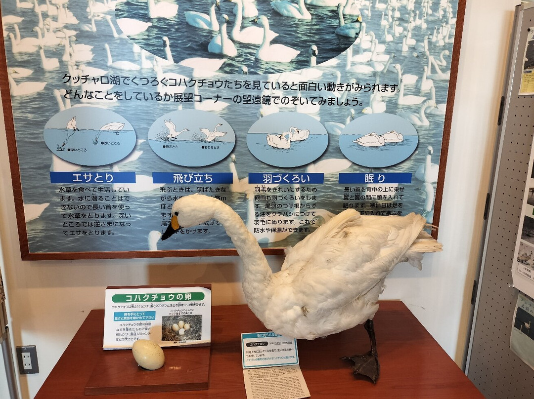 Lake Kutcharo-滨顿别町必去景点