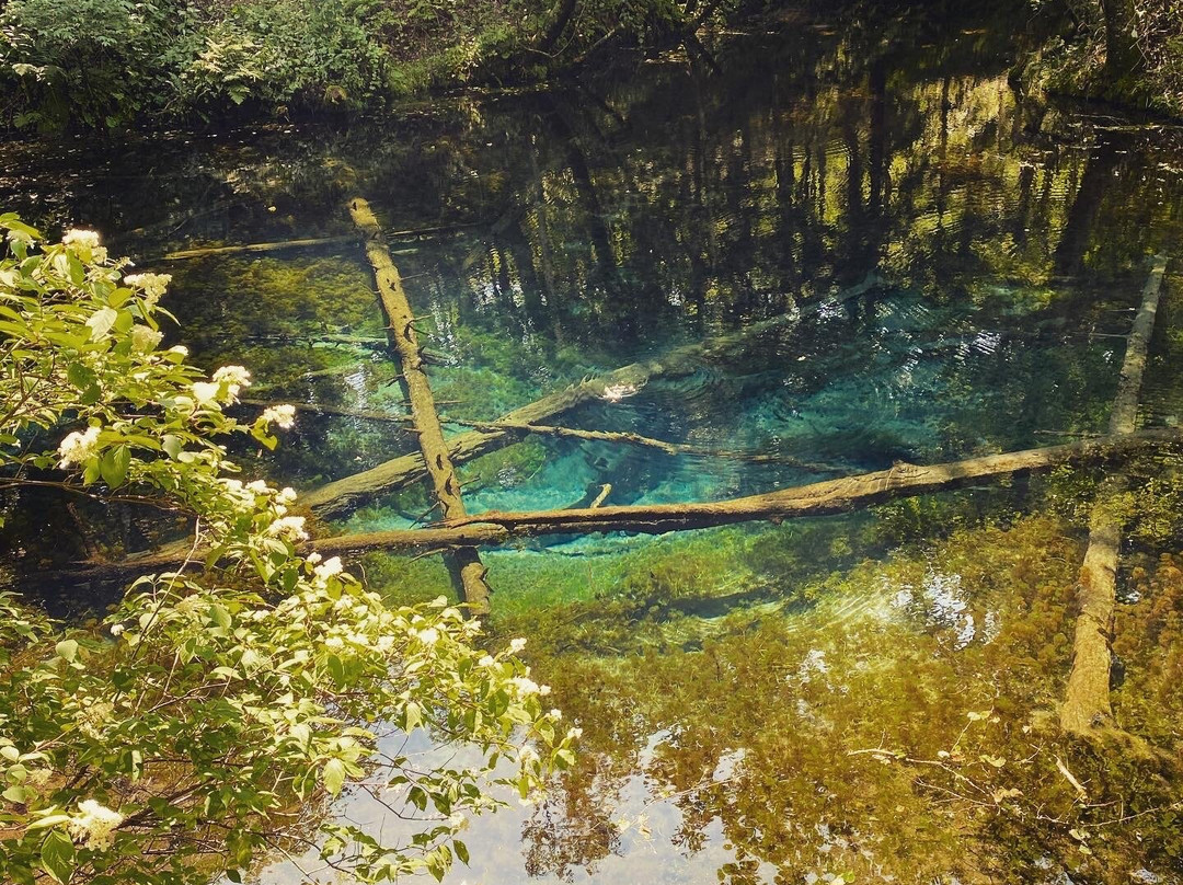 神之子池-清里町必去景点