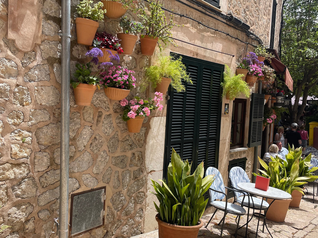 Marton Hotel Valldemossa主图