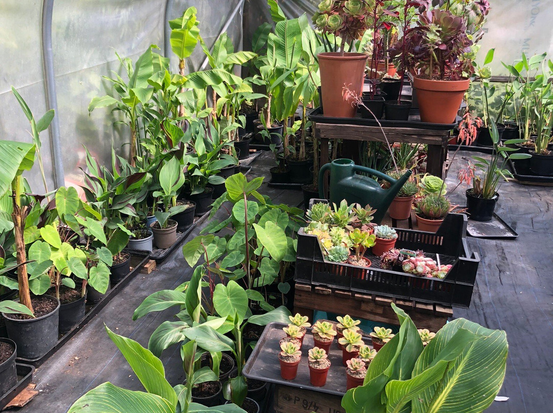 Henstead Exotic Garden-Beccles必去景点