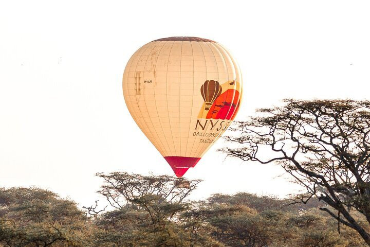 Nyssa Balloon