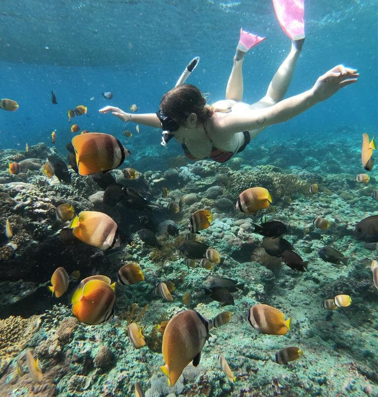 Penida Bali Vibes-Sanur Kaja必去景点