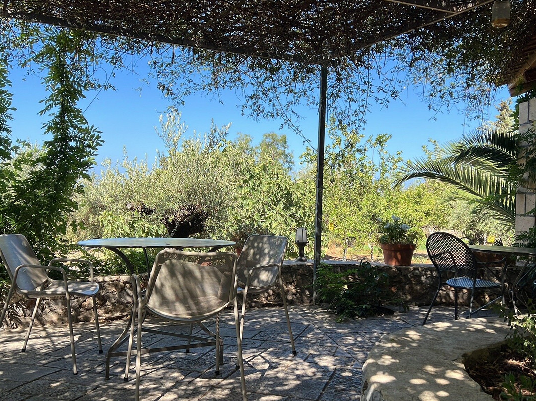 Kalamitsi Beach-Kardamili必去景点