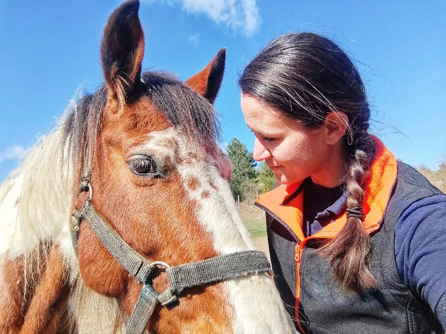 Horse riding Asparuh-Hvoyna必去景点