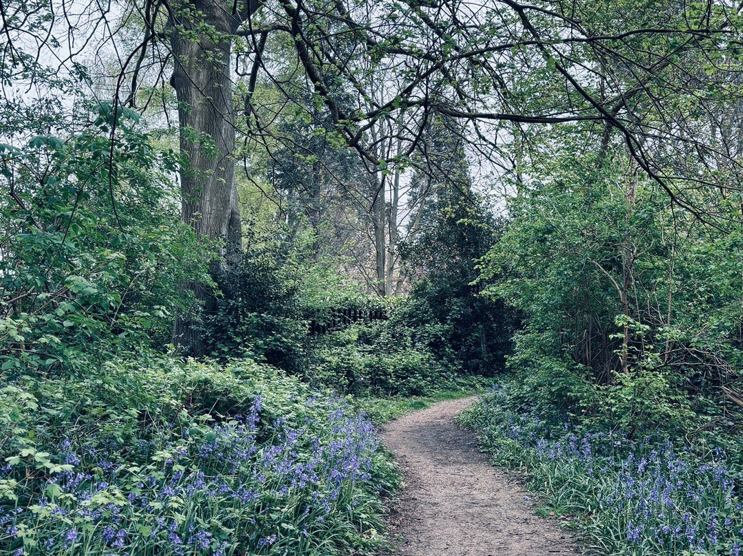 Vinters Valley Nature Reserve-梅德斯通必去景点
