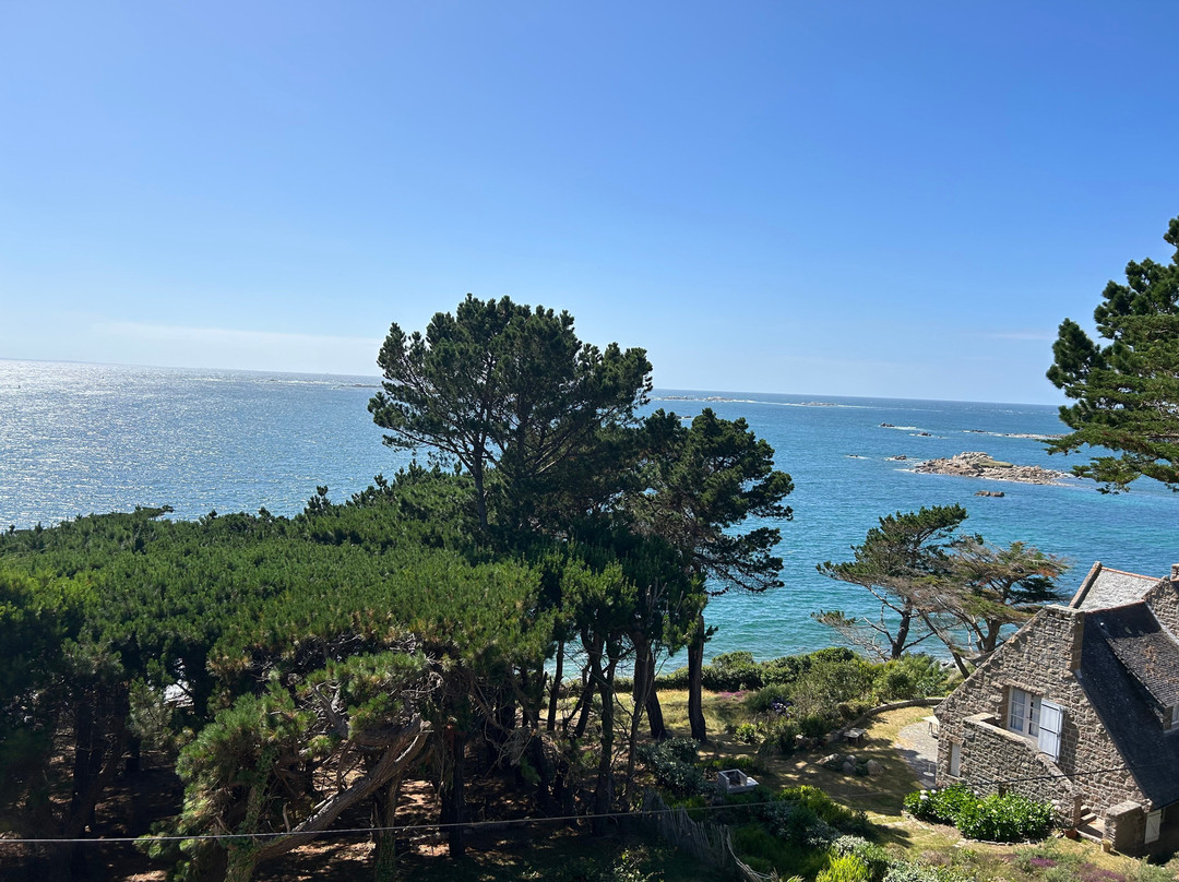 Manoir De Lan Kerellec主图