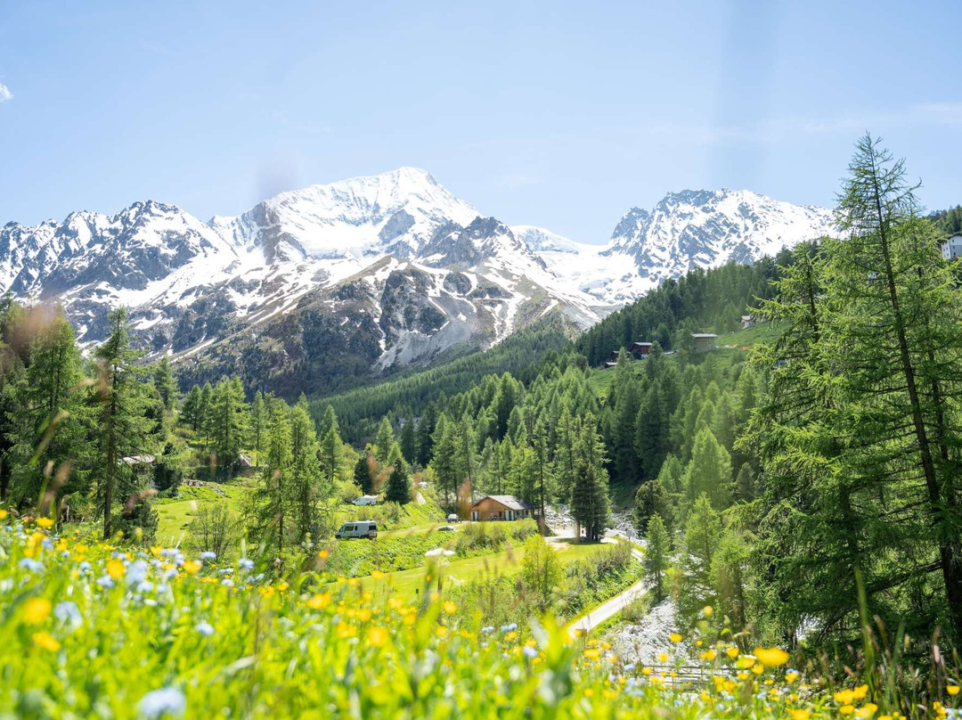 Camping Arolla
