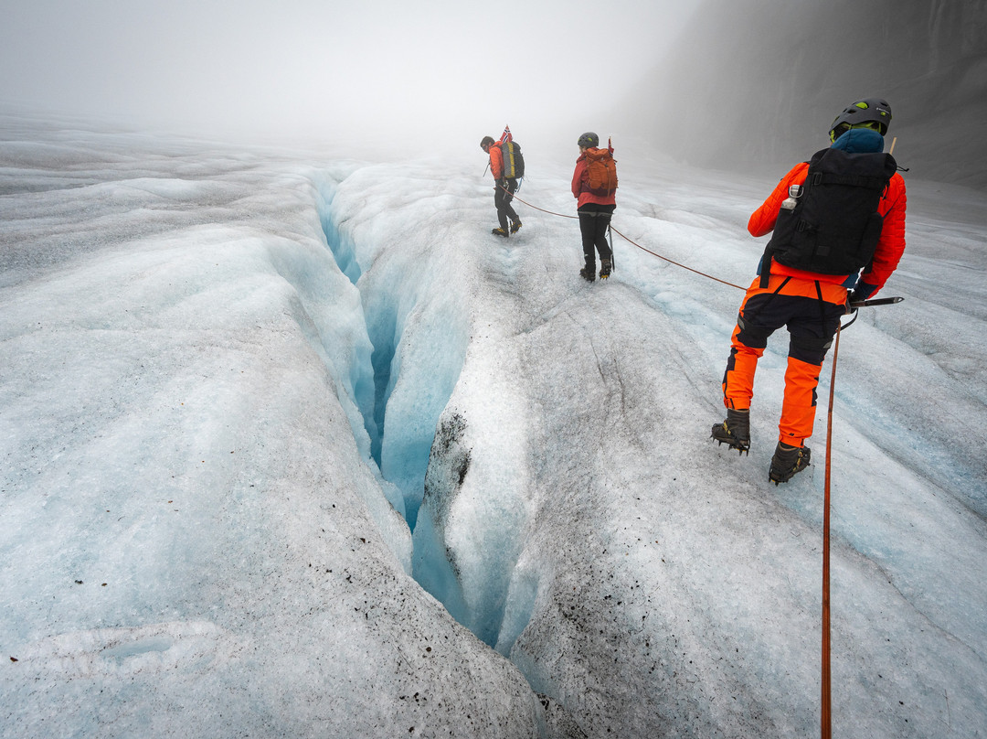 Mountaingoat Guiding Glaciertrip景点图片