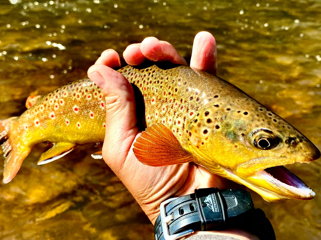Frying Pan Anglers-Basalt必去景点