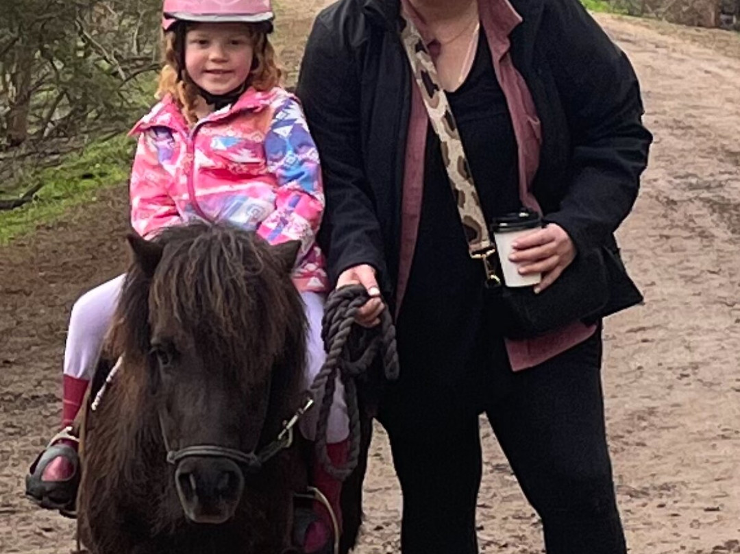 Spring Creek Horse Rides-贝尔布拉必去景点