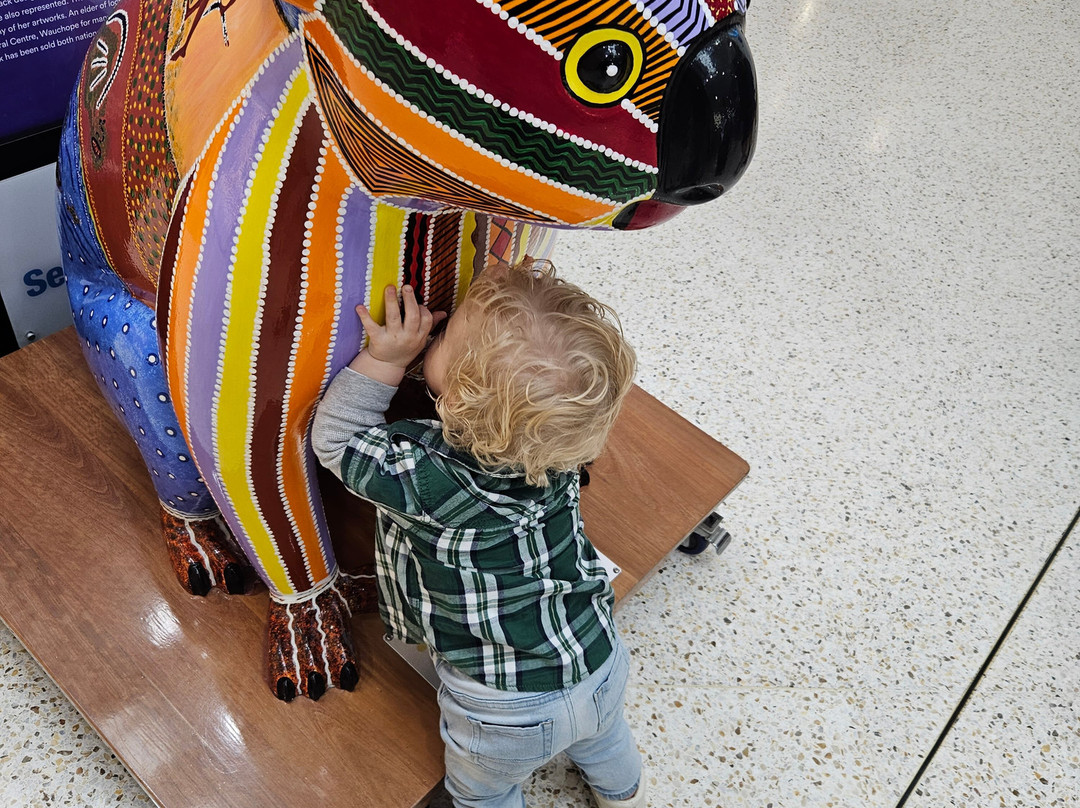 Hello Koalas Sculpture Gallery & Gift Shop-麦克夸利港必去景点