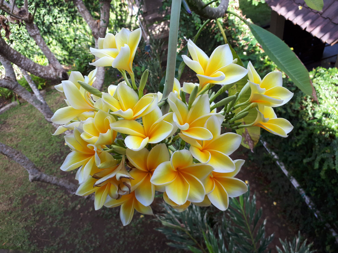 龙目岛日落酒店主图