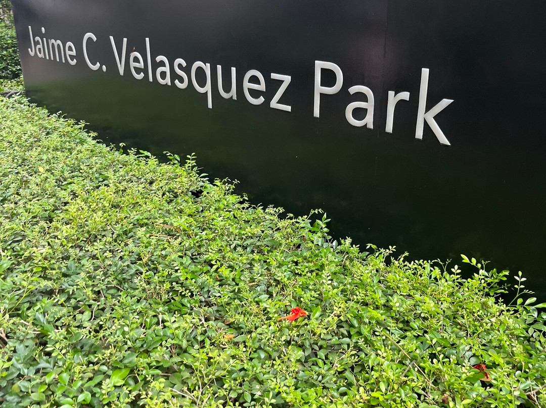 Salcedo Saturday Market-马卡蒂必去景点