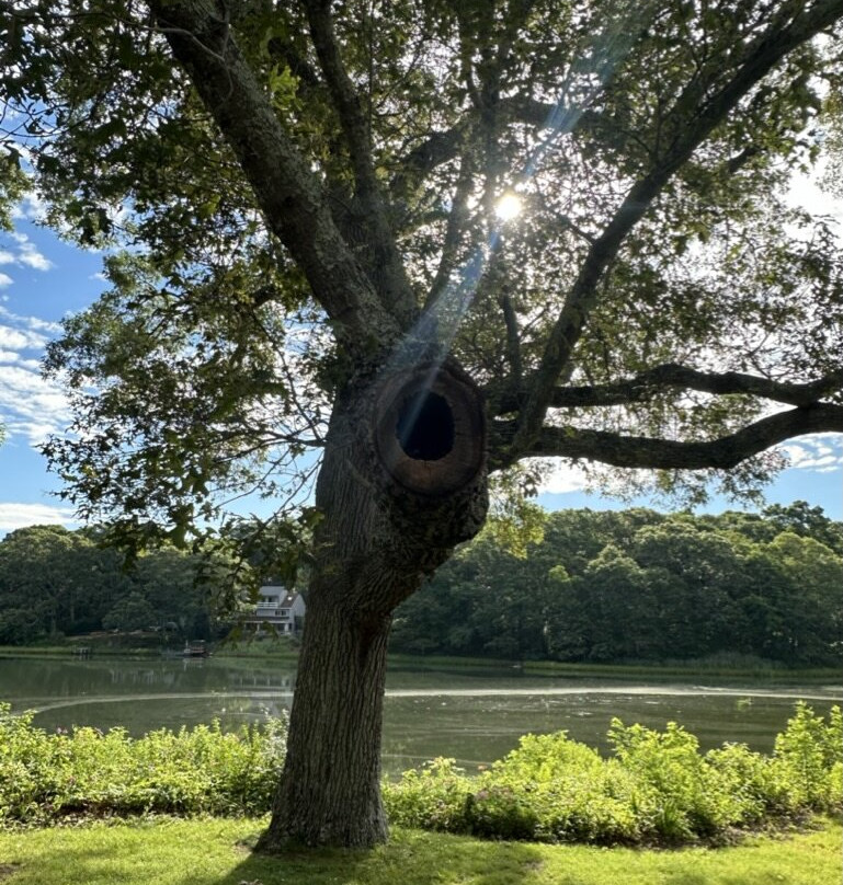 House on Chase Creek主图