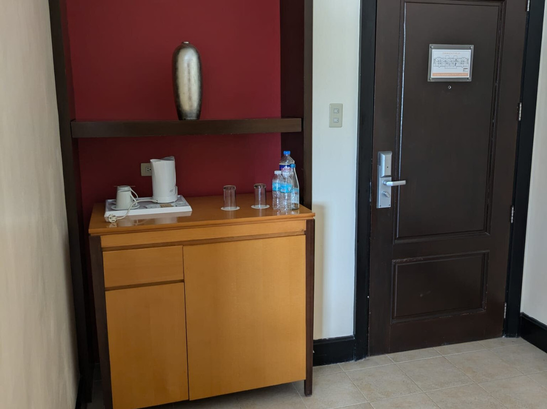 庞特菲诺酒店主图