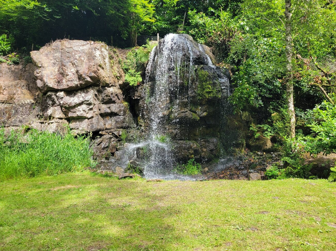 Kilfane Waterfall and Glen-Thomastown必去景点