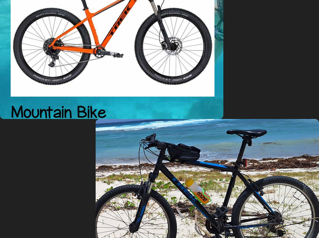 Adventura Cayman-Camana Bay必去景点