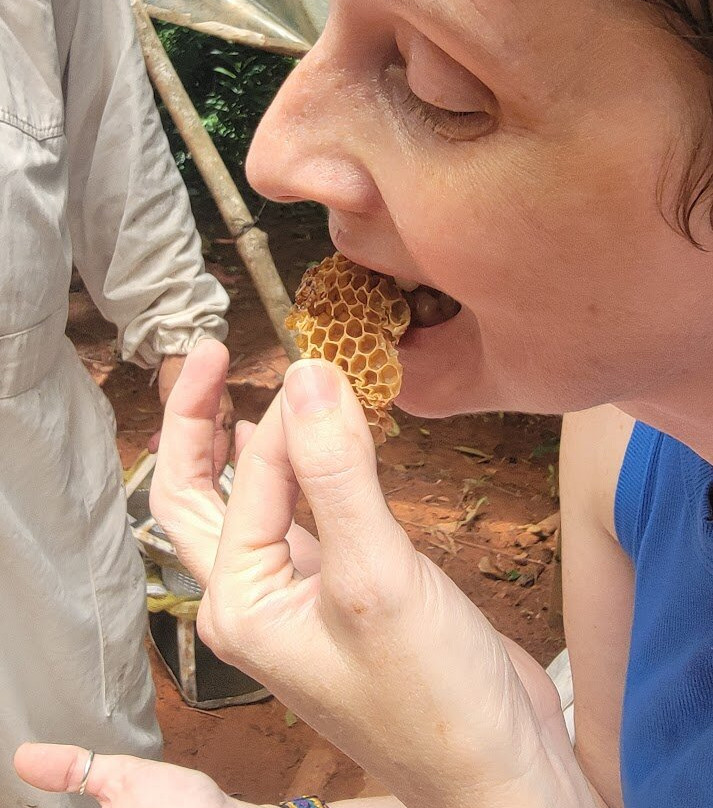 Manuel Antonio Bee Farm Tour景点图片