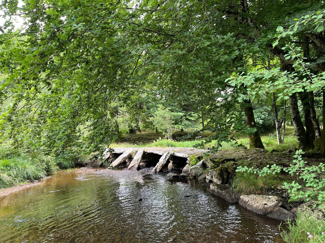 Trott'in Forest-Le Soulie必去景点