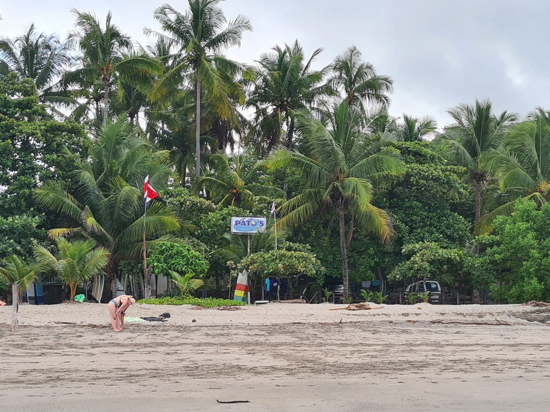Pato's Surf School景点图片