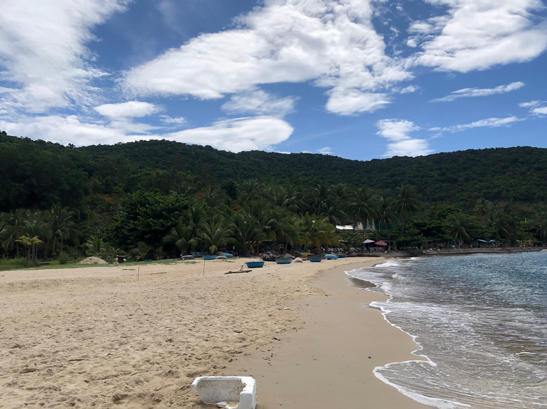 Tuan Thanh Homestay主图