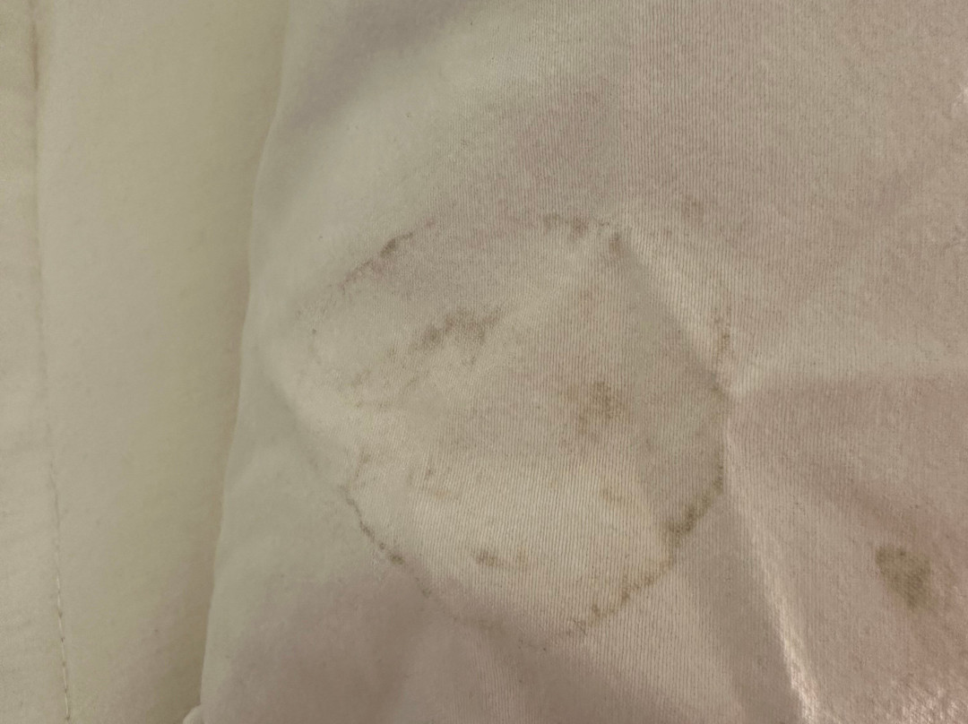 El Ksar Resort & Thalasso主图