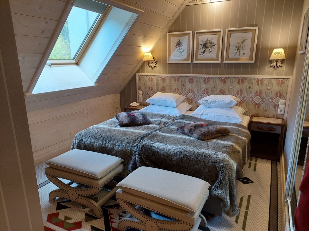 Aries Hotel & Spa Wisla主图