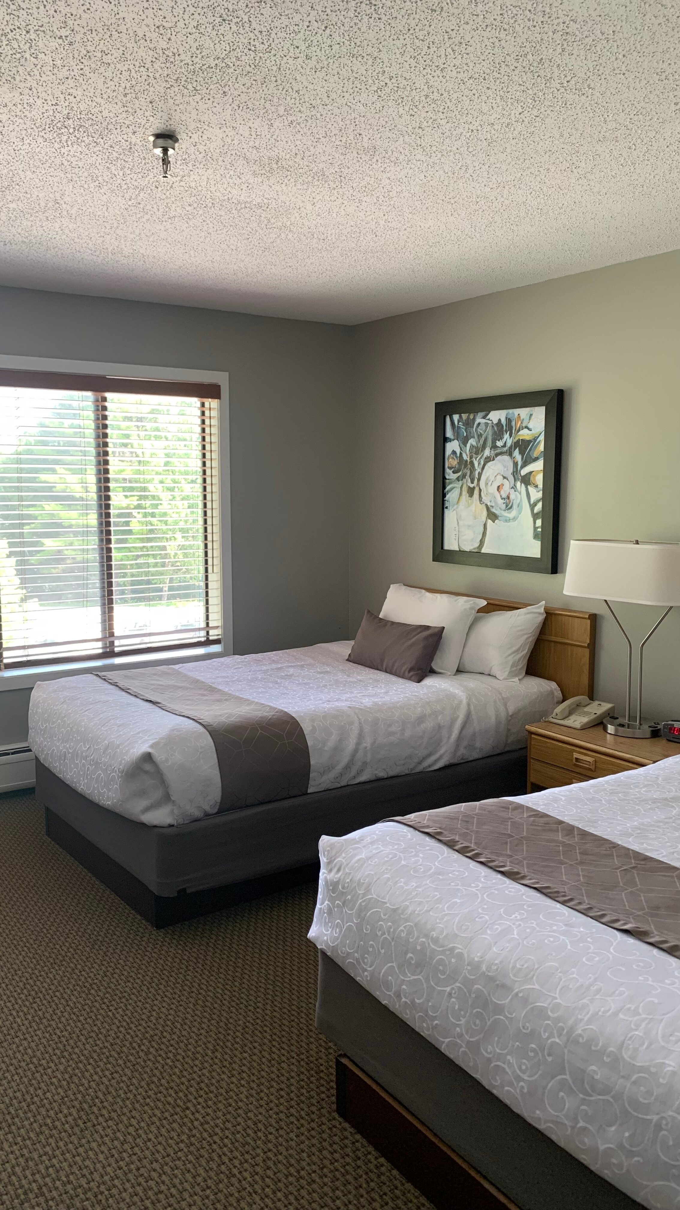 北星旅馆度假村-客卧