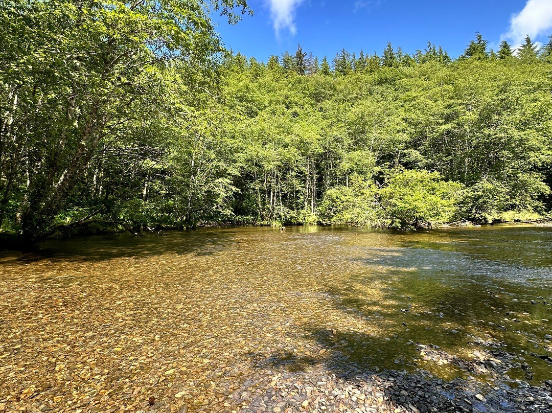 Ketchikan creek and falls-凯奇坎必去景点