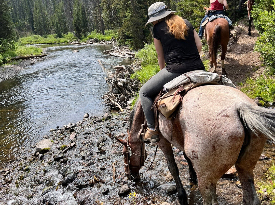 Yellowstone Outfitters-莫兰必去景点