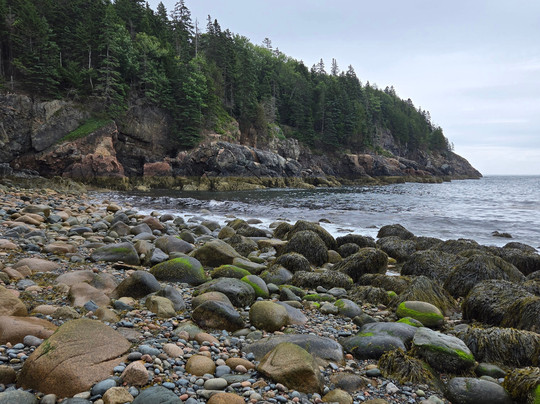 Good Trip Adventures Acadia-巴港必去景点