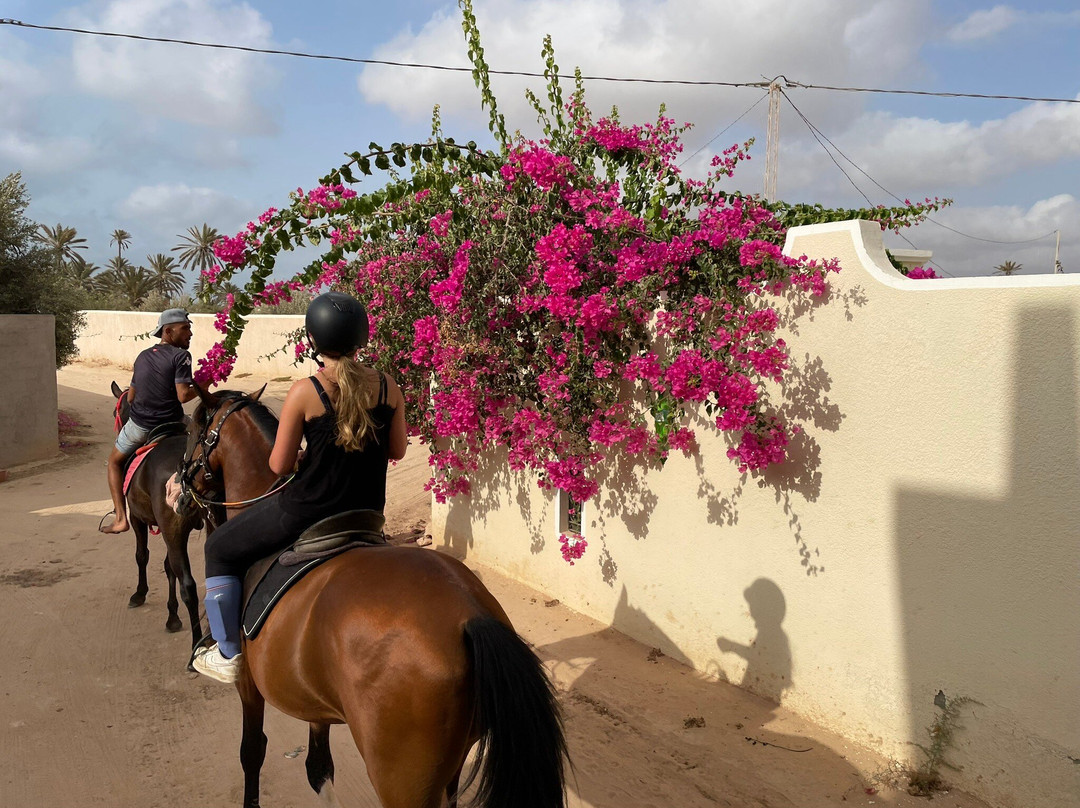 Ennakhil de tourisme Djerba-米栋必去景点