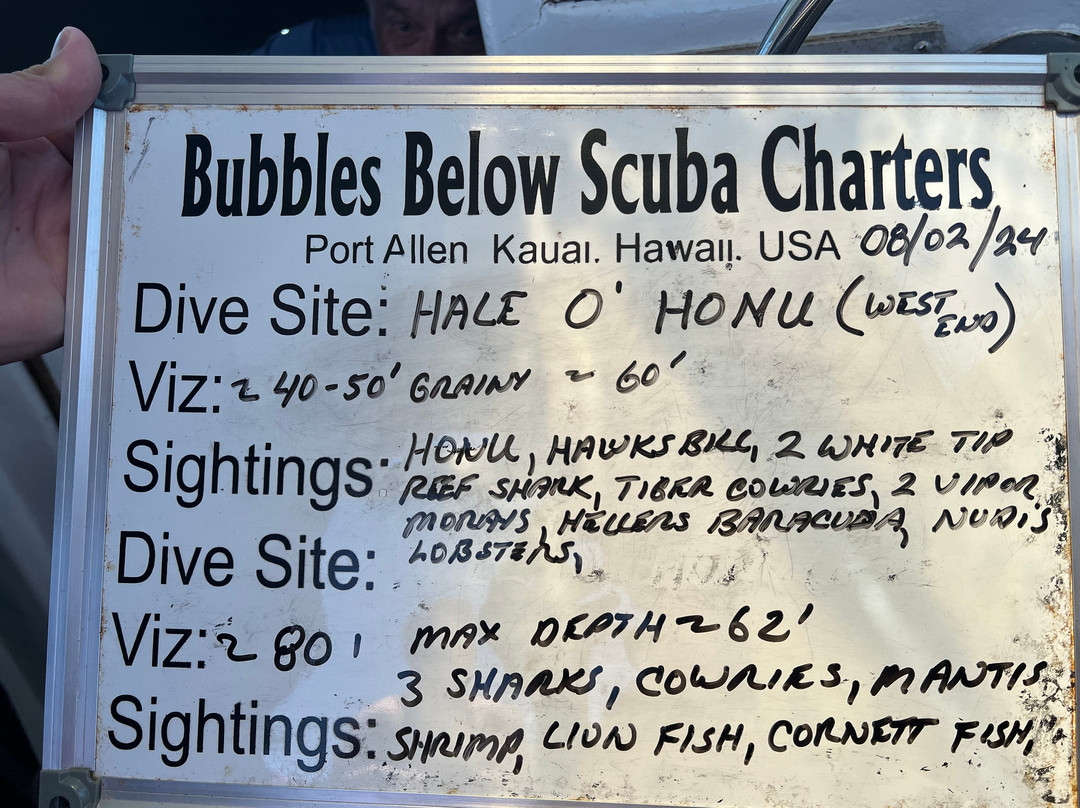 Bubbles Below Scuba Charters-埃里埃利必去景点