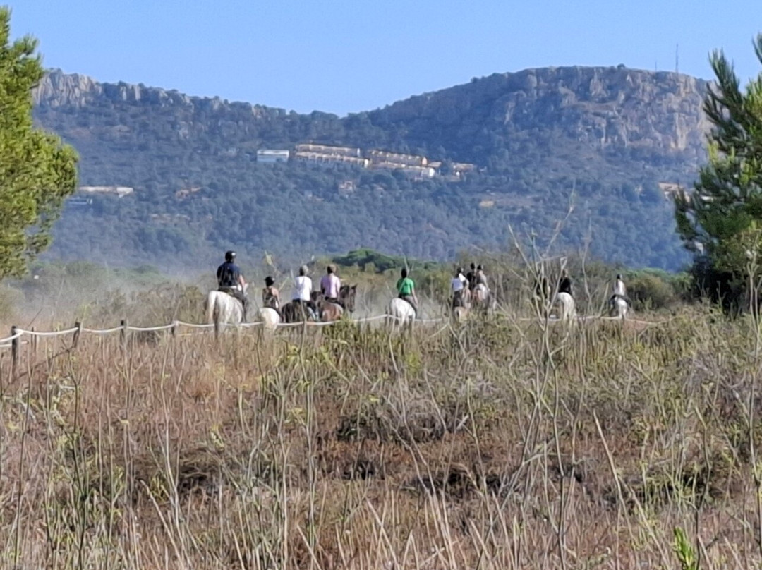 Hipica Mas Paguina-L'Estartit必去景点