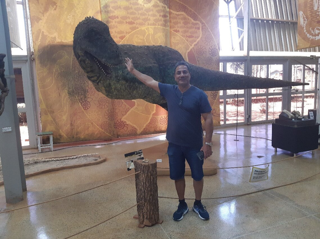 Museu Paleontológico De Peirópolis景点图片