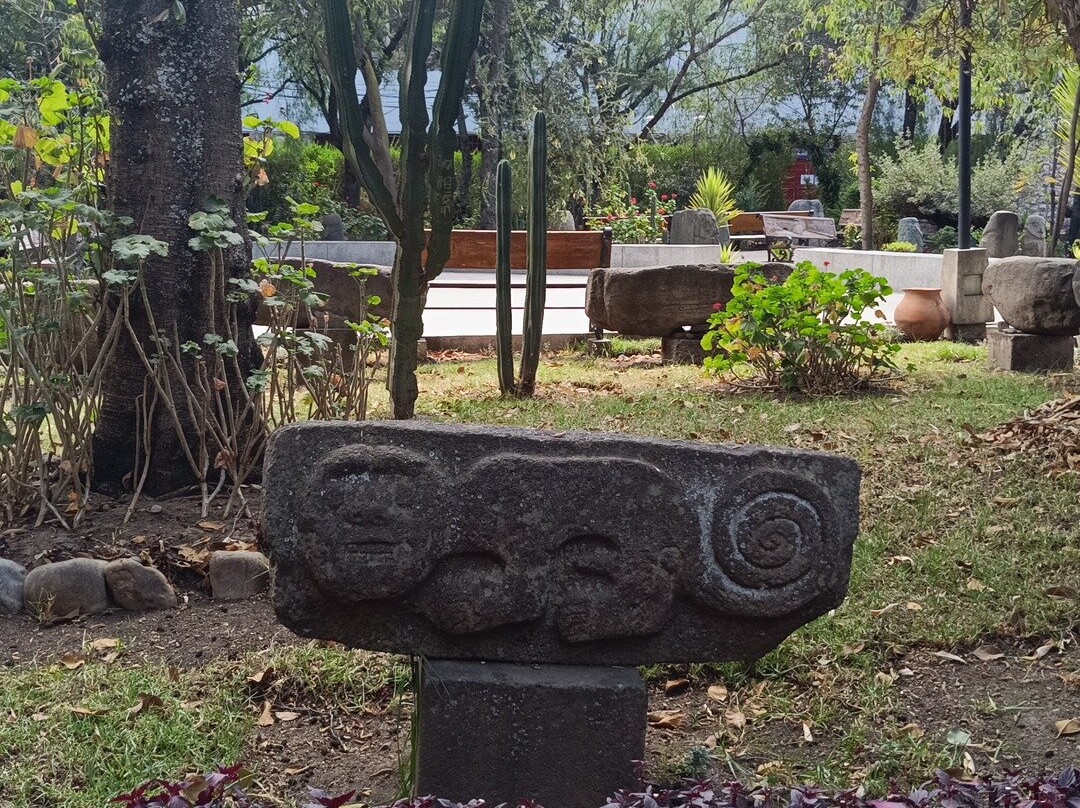 Museo Arqueologico de Ancash "Augusto Soriano Infante"-瓦拉斯必去景点