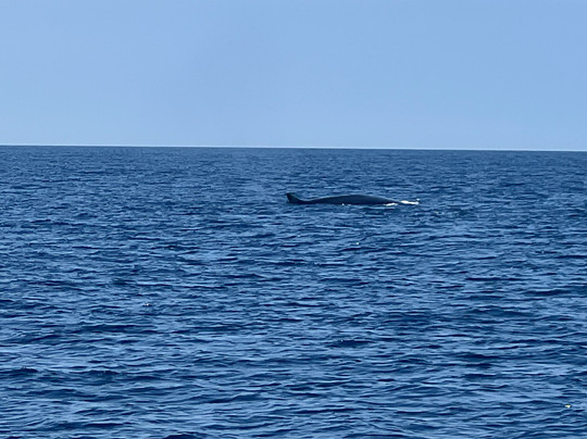 Yo te Espero Fishing and Boat Trips-班纳玛德纳必去景点