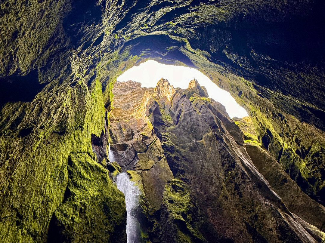 Into The Wild-科帕伏古必去景点