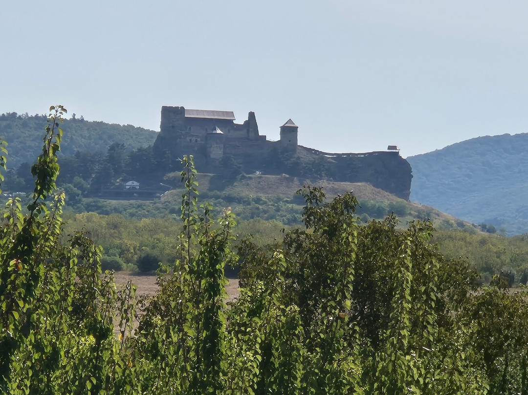 Castle of Boldogko景点图片
