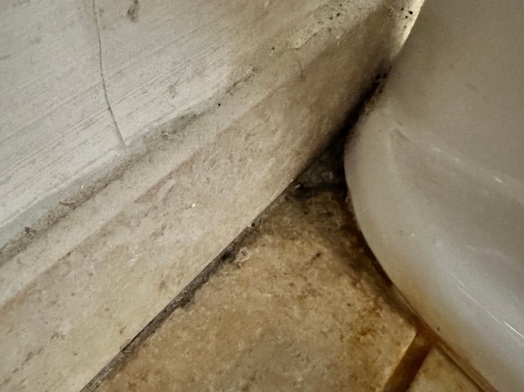 Homewood Suites By Hilton Cleveland-Beachwood主图