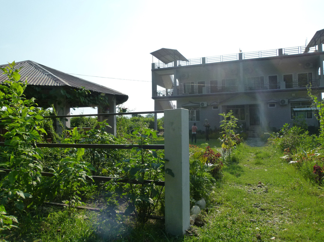 Sparrow Nest Corbett Homestay